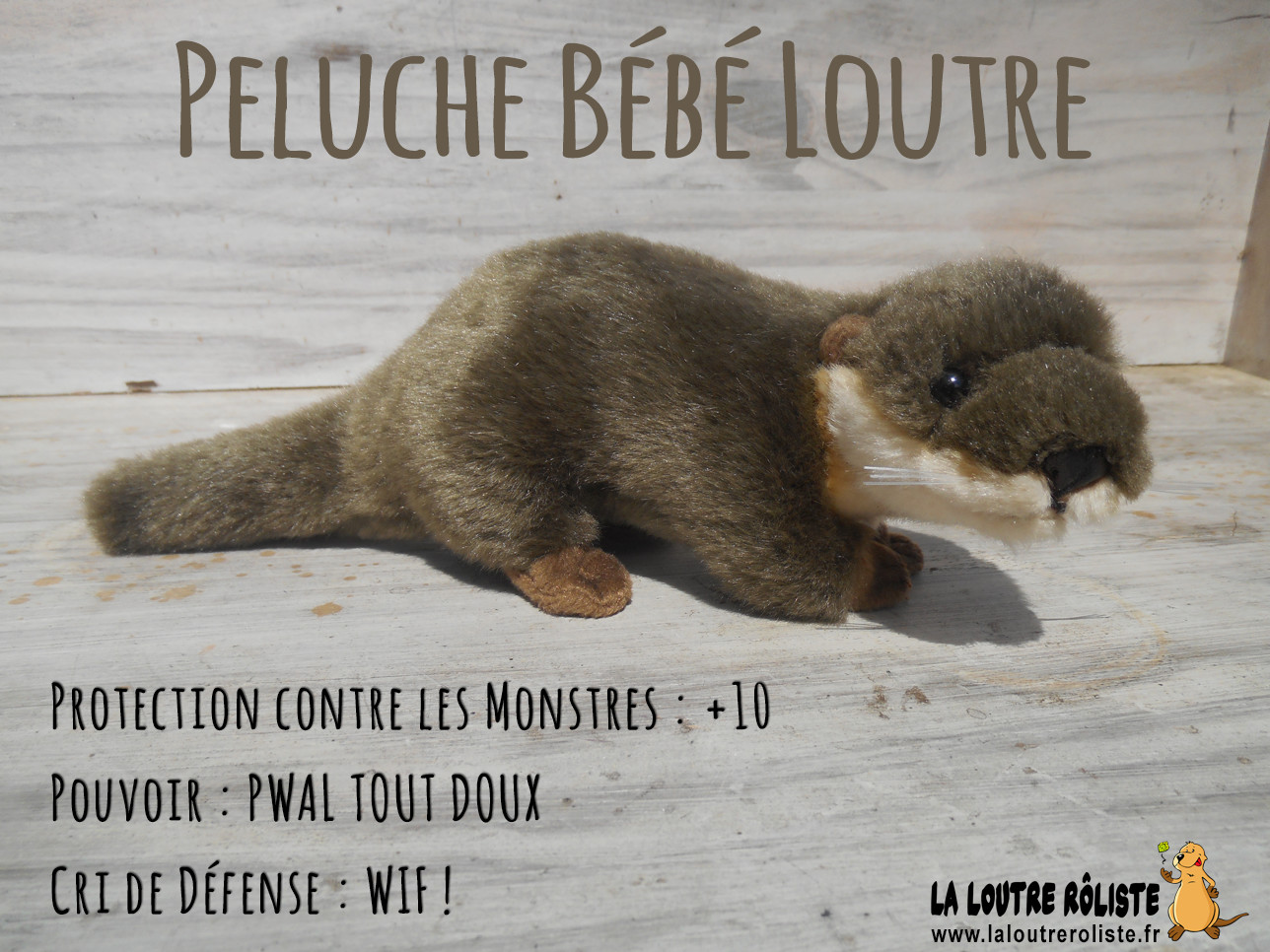 B%C3%A9b%C3%A9%20Loutre%202.jpg